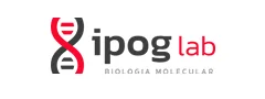 ipog-lab-supervendedores.webp
